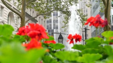 New York City Aşağı Manhattan, Downtown Finans Bölgesi mimarisi, Birleşik Devletler. Broadway caddesinde yüksek binalar, ABD. Amerikan şehir manzarası, Bowling Green Park, NYC 'de çeşme. Çiçekler..
