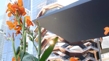 New York, Birleşik Devletler. Hudson Yards şehir mimarisi Chelsea, New York Manhattan Midtown, ABD 'de. Amerikan sanat eserleri ve çiçekler çiçek açar. Bahar ya da yaz çiçekliği. Yeşillik ve modern binalar