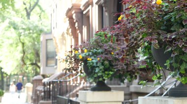 New York City konak binası, Brooklyn Heights yerleşim bölgesi, ABD. Brownstone şehir mimarisi, bağlı ev. Amerika Birleşik Devletleri emlak, Amerikan mülkü, New York 'ta apartmanlar ve evler.