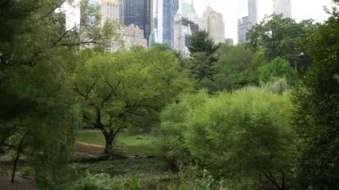New York Şehri Manhattan Midtown. 5. Cadde 'deki Central Park, ABD. Amerika 'nın simgesi, NYC, ABD' deki şehir parkı. Gökdelen binaları mimarisi, 59 sokak silueti. Yeşil ağaçlar.