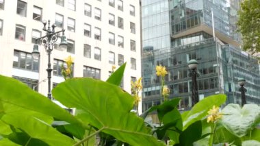 New York metro küresi, metro küre lambası. Metropolitan girişi, Manhattan. Kütüphane 'nin yanında 42 sokak, Bryant Park, Beşinci Cadde. Şehir merkezindeki toplu taşıma istasyonu girişi..
