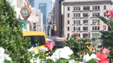 New York City, United States - 6 Sept 2023: Manhattan Midtown Broadway, 23 street, 5 avenue crossroad intersection. Worth Square near Madison Park and Flatiron Building, USA. Porcelanosa, taxi, clock. clipart