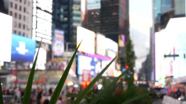 New York City Times Meydanı, Manhattan Midtown Broadway Caddesi, ABD. Amerikan NYC şehir hayatı. Yayaların dikkatini dağıttı. Reklam tabelaları, ticari reklamlar, aydınlatılmış reklam panoları, yeşillik..