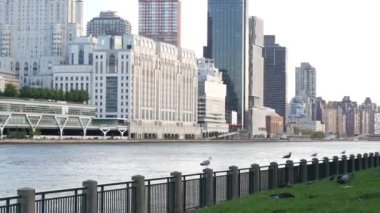 New York şehri kıyısı silueti, Manhattan şehir merkezi binaları, nehir kıyısındaki gökdelenler, doğu nehri suyu. Roosevelt Adası 'ndan deniz kenarı manzarası. Birleşik Devletler mimarisi ve gayrimenkul.