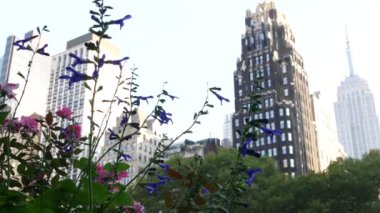 New York, Manhattan Midtown Bryant Parkı 42 sokak ve 5. Cadde köşesi, Birleşik Devletler. Amerika 'da NYC' nin simgesi. Parkın bahçesinde ağaçlar yeşillik. Binalar.