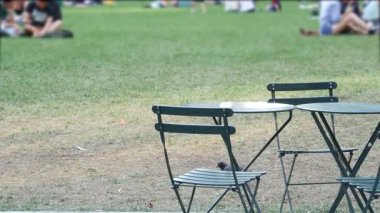 New York, Manhattan Midtown Bryant Parkı 42 sokak ve 5. Cadde köşesi, Birleşik Devletler. Amerika 'da NYC' nin simgesi. Yaz yeşilliklerinde sandalye ve masa. Çimenlerdeki insanlar.