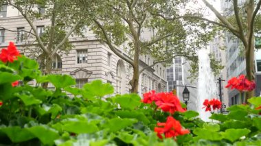 New York City Aşağı Manhattan, Downtown Finans Bölgesi mimarisi, Birleşik Devletler. Broadway caddesinde yüksek binalar, ABD. Amerikan şehir manzarası, Bowling Green Park, NYC 'de çeşme. Çiçekler..