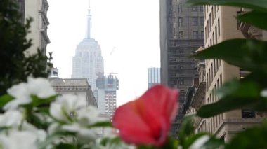 New York City Manhattan Midtown sokak mimarisi. Empire State binası, ABD 'de ikonik gökdelen. Amerikan şehir manzarası, ünlü NYC kulesi, Birleşik Devletler. Beşinci 5. Cadde. Çiçekler..