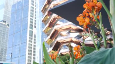 New York, Birleşik Devletler. Hudson Yards şehir mimarisi Chelsea, New York Manhattan Midtown, ABD 'de. Amerikan sanat eserleri ve çiçekler çiçek açar. Bahar ya da yaz çiçekliği. Yeşillik ve modern binalar