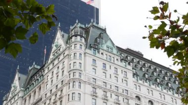 New York Şehri Manhattan Midtown. 5. Cadde 'deki Central Park, ABD. Amerika 'nın simgesi, NYC, ABD' deki şehir parkı. Grand Army Plaza, Pulitzer Plaza 'dan otel mimarisi.