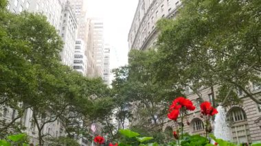 New York City Aşağı Manhattan, Downtown Finans Bölgesi mimarisi, Birleşik Devletler. Broadway caddesinde yüksek binalar, ABD. Amerikan şehir manzarası, Bowling Green Park, NYC 'de çeşme. Çiçekler..