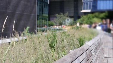 New York City High Line Greenway 'i yükseltti, Manhattan Midtown, ABD. Şehir parkındaki insanlar. Bahçedeki yeşillikte gezinti. Amerikan sokak hayatı, Hudson Yards yakınlarında Chelsea Highline. Tahta bank..