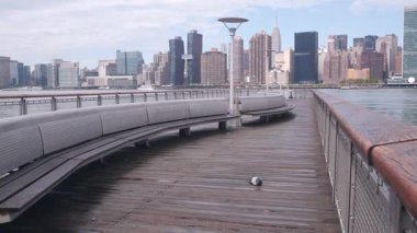 New York şehri kıyısı silueti, Manhattan şehir merkezi binaları, nehir kıyısındaki gökdelenler, doğu nehri suyu. Liman kenti manzarası, Gantry Plaza iskelesi, Long Island, Queens. Birleşik Devletler mimarisi.