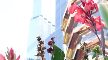 New York, Birleşik Devletler. Hudson Yards şehir mimarisi Chelsea, New York Manhattan Midtown, ABD 'de. Amerikan sanat eserleri ve çiçekler çiçek açar. Bahar ya da yaz çiçekliği. Yeşillik ve modern binalar