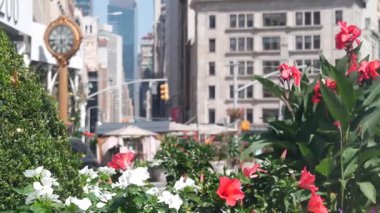 New York, Birleşik Devletler, Manhattan Midtown Broadway, 23 sokak, 5 bulvar kavşağı. Madison Park ve Flatiron Binası yakınlarındaki Worth Meydanı, ABD. Sarı taksi, sokak saati, çiçekler..