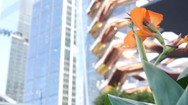 New York, Birleşik Devletler. Hudson Yards şehir mimarisi Chelsea, New York Manhattan Midtown, ABD 'de. Amerikan sanat eserleri ve çiçekler çiçek açar. Bahar ya da yaz çiçekliği. Yeşillik ve modern binalar
