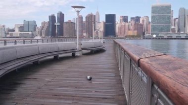 New York şehri kıyısı silueti, Manhattan şehir merkezi binaları, nehir kıyısındaki gökdelenler, doğu nehri suyu. Liman kenti manzarası, Gantry Plaza iskelesi, Long Island, Queens. Birleşik Devletler mimarisi.