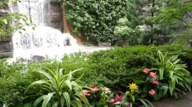 New York şehri hayatı, şehir parkı, Greenacre Park şelalesi. Amerikan Manhattan Midtown, ABD. Çiçek tarlasında tropikal çiçekler, ağaçlar yeşillik. NYC 51. Cadde 'deki yeşil vaha..