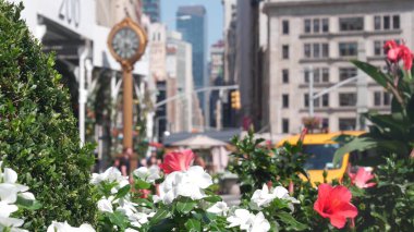 New York, ABD - 6 Eylül 2023 Manhattan Midtown Broadway, 23 sokak, 5 bulvar kavşağı. Madison Park ve Flatiron Binası yakınlarındaki Worth Meydanı, ABD. Porcelanosa, taksi, saat.