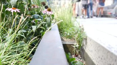 New York City High Line Greenway 'i yükseltti, Manhattan Midtown, ABD. Şehir parkındaki insanlar. Bahçedeki yeşillikte gezinti. Amerikan sokak hayatı, Hudson Yards yakınlarında Chelsea Highline. Demiryolu rayları.