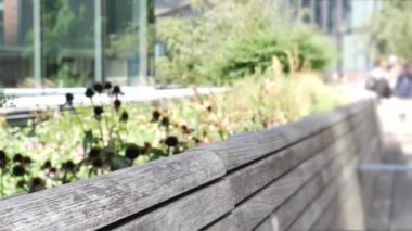 New York City High Line Greenway 'i yükseltti, Manhattan Midtown, ABD. Şehir parkındaki insanlar. Bahçedeki yeşillikte gezinti. Amerikan sokak hayatı, Hudson Yards yakınlarında Chelsea Highline. Tahta bank..