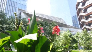 New York, Birleşik Devletler. Hudson Yards şehir mimarisi Chelsea, New York Manhattan Midtown, ABD 'de. Amerikan sanat eserleri ve çiçekler çiçek açar. Bahar ya da yaz çiçekliği. Yeşillik ve modern binalar