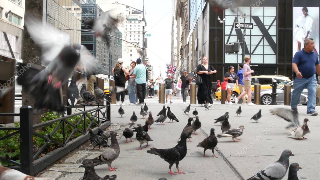 New York City, United States - 11 Sept 2023: Manhattan Midtown street, Fifth 5 avenue. American urban road car traffic, Yellow taxi, USA. Saint Patricks Cathedral. People, pigeon birds. Armani store.
