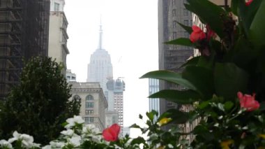 New York City Manhattan Midtown sokak mimarisi. Empire State binası, ABD 'de ikonik gökdelen. Amerikan şehir manzarası, ünlü NYC kulesi, Birleşik Devletler. Beşinci 5. Cadde. Çiçekler..