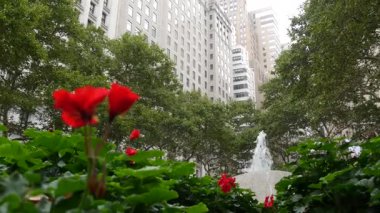 New York City Aşağı Manhattan, Downtown Finans Bölgesi mimarisi, Birleşik Devletler. Broadway caddesinde yüksek binalar, ABD. Amerikan şehir manzarası, Bowling Green Park, NYC 'de çeşme. Çiçekler..