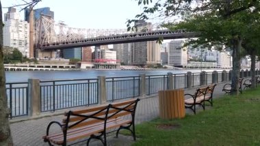 New York şehri kıyısı silueti, Manhattan şehir merkezi binaları, nehir kıyısındaki gökdelenler, doğu nehri suyu. Roosevelt Adası 'ndan deniz kenarı manzarası. Birleşik Devletler mimarisi ve gayrimenkul.