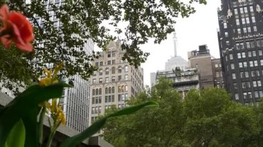 New York, Manhattan Midtown Bryant Parkı 42 sokak ve 5. Cadde köşesi, Birleşik Devletler. Amerika 'da NYC' nin simgesi. Parkın bahçesinde ağaçlar yeşillik. Binalar.