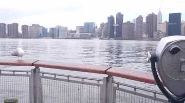 New York City rıhtım silueti, Manhattan Midtown binaları, nehir kenarındaki gökdelenler, Doğu nehri. Rıhtım manzarası, kule manzarası, Gantry Plaza. Long Island, Queens 'te. Birleşik Devletler turizmi. Martı..