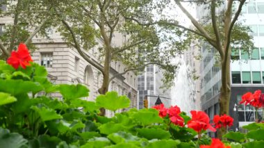 New York City Aşağı Manhattan, Downtown Finans Bölgesi mimarisi, Birleşik Devletler. Broadway caddesinde yüksek binalar, ABD. Amerikan şehir manzarası, Bowling Green Park, NYC 'de çeşme. Çiçekler..