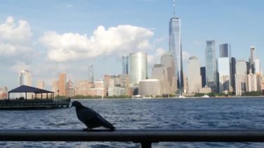 New York City rıhtımı, Manhattan şehir merkezi finans bölgesi, Dünya Ticaret Merkezi binası, nehir manzaralı gökdelenler. Paulus Hook, New Jersey 'den. Birleşik Devletler mimarisi. Hudson Nehri.