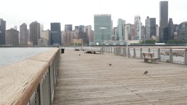 New York şehri kıyısı silueti, Manhattan şehir merkezi binaları, nehir kıyısındaki gökdelenler, doğu nehri suyu. Liman kenti manzarası, Gantry Plaza iskelesi, Long Island, Queens. Birleşik Devletler mimarisi.