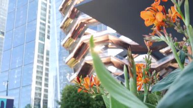 New York, Birleşik Devletler. Hudson Yards şehir mimarisi Chelsea, New York Manhattan Midtown, ABD 'de. Amerikan sanat eserleri ve çiçekler çiçek açar. Bahar ya da yaz çiçekliği. Yeşillik ve modern binalar