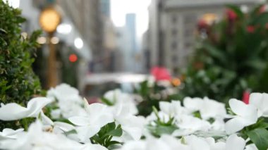 New York, Birleşik Devletler, Manhattan Midtown Broadway, 23 sokak, 5 bulvar kavşağı. Madison Park ve Flatiron Binası yakınlarındaki Worth Meydanı, ABD. Sarı taksi, sokak saati, çiçekler..