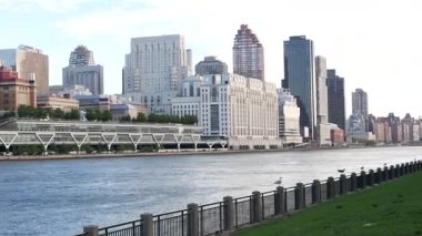 New York şehri kıyısı silueti, Manhattan şehir merkezi binaları, nehir kıyısındaki gökdelenler, doğu nehri suyu. Roosevelt Adası 'ndan deniz kenarı manzarası. Birleşik Devletler mimarisi ve gayrimenkul.