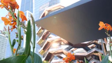 New York, Birleşik Devletler. Hudson Yards şehir mimarisi Chelsea, New York Manhattan Midtown, ABD 'de. Amerikan sanat eserleri ve çiçekler çiçek açar. Bahar ya da yaz çiçekliği. Yeşillik ve modern binalar