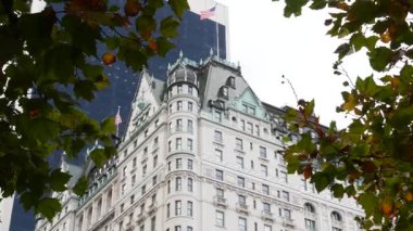 New York Şehri Manhattan Midtown. 5. Cadde 'deki Central Park, ABD. Amerika 'nın simgesi, NYC, ABD' deki şehir parkı. Grand Army Plaza, Pulitzer Plaza 'dan otel mimarisi.