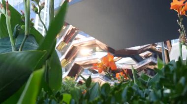 New York, Birleşik Devletler. Hudson Yards şehir mimarisi Chelsea, New York Manhattan Midtown, ABD 'de. Amerikan sanat eserleri ve çiçekler çiçek açar. Bahar ya da yaz çiçekliği. Yeşillik ve modern binalar