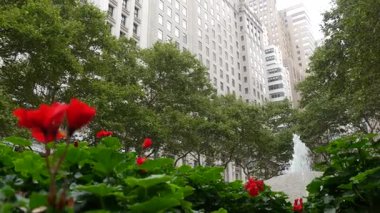 New York City Aşağı Manhattan, Downtown Finans Bölgesi mimarisi, Birleşik Devletler. Broadway caddesinde yüksek binalar, ABD. Amerikan şehir manzarası, Bowling Green Park, NYC 'de çeşme. Çiçekler..