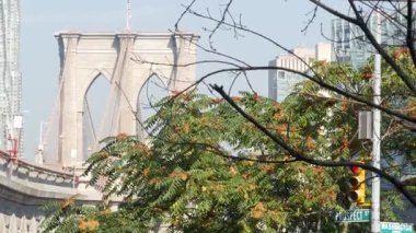 Brooklyn Köprüsü 'nden Manhattan' a. New York 'un simgesel sembolü, ABD' nin seyahat hedefi. Amerika Birleşik Devletleri 'nin mimarisi, turist simgesi. Ünlü kablolu yayın köprüsü.