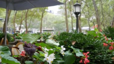 New York, Manhattan Midtown Bryant Parkı 42 sokak ve 5. Cadde köşesi, Birleşik Devletler. Amerika 'da NYC' nin simgesi. Çiçekli yeşillik, ağaçlar ve fener. Sonbahar yağmurlu günü.