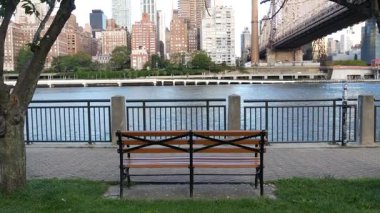 New York şehri kıyısı silueti, Manhattan şehir merkezi binaları, nehir kıyısındaki gökdelenler, doğu nehri suyu. Roosevelt Adası 'ndan deniz kenarı manzarası. Birleşik Devletler mimarisi ve gayrimenkul.