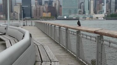 New York şehri kıyısı silueti, Manhattan şehir merkezi binaları, nehir kıyısındaki gökdelenler, doğu nehri suyu. Liman kenti manzarası, Gantry Plaza iskelesi, Long Island, Queens. Birleşik Devletler mimarisi.