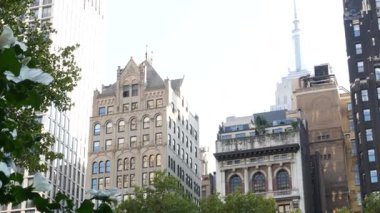 New York, Manhattan Midtown Bryant Parkı 42 sokak ve 5. Cadde köşesi, Birleşik Devletler. Amerika 'da NYC' nin simgesi. Parkın bahçesinde ağaçlar yeşillik. Binalar.