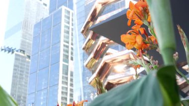 New York, Birleşik Devletler. Hudson Yards şehir mimarisi Chelsea, New York Manhattan Midtown, ABD 'de. Amerikan sanat eserleri ve çiçekler çiçek açar. Bahar ya da yaz çiçekliği. Yeşillik ve modern binalar