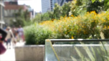 New York City High Line Greenway 'i yükseltti, Manhattan Midtown, ABD. Şehir parkındaki insanlar. Bahçedeki yeşillikte gezinti. Amerikan sokak hayatı, Hudson Yards yakınlarında Chelsea Highline. Sonbahar çiçekleri.