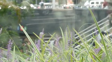 New York, ABD - 11 Eylül 2023 Manhattan Lexington Bulvarı, ABD. Odaklanamayan insanlar, yeraltı metro istasyonu, 53 caddedeki merdivenler, şehir merkezi. Yeşiller.